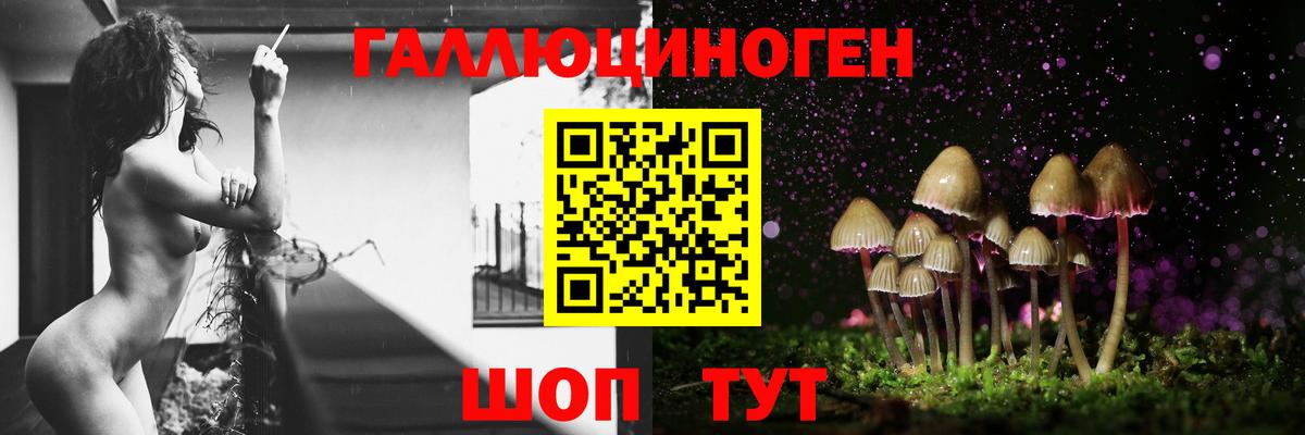 Псилоцибиновые грибы GOLDEN TEACHER Надым